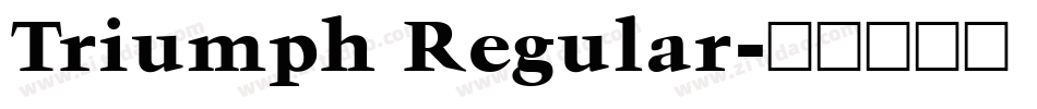 Triumph Regular字体转换